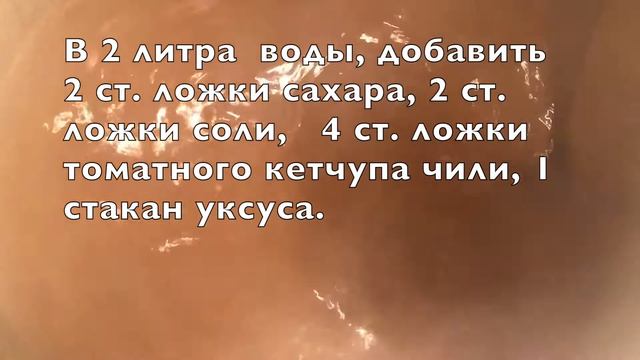 ХРУСТЯЩИЕ ОГУРЦЫ И КАБАЧКИ С КЕТЧУПОМ ЧИЛИ НА ЗИМУ!!! смотреть онлайн