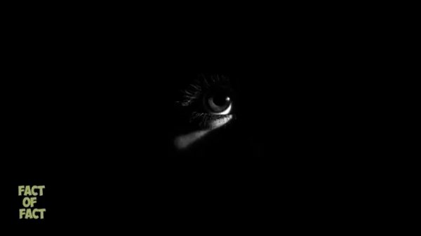 Интересные моменты из жизни человека, только ФАКТЫ от Fact of Fact