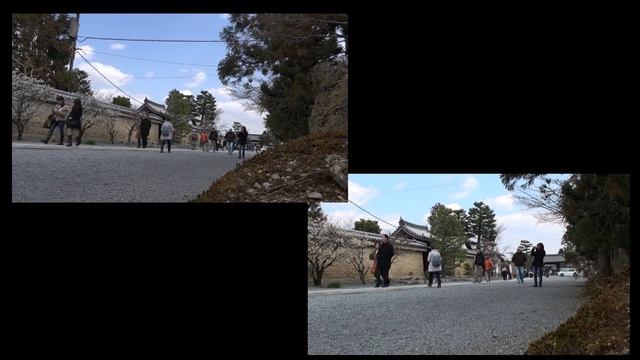 (AVCHD)SONY FDR-AX100 VS HDR-XR520V смотреть онлайн