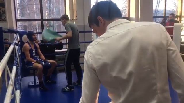 Чемпионат области по боксу среди молодежи смотреть онлайн