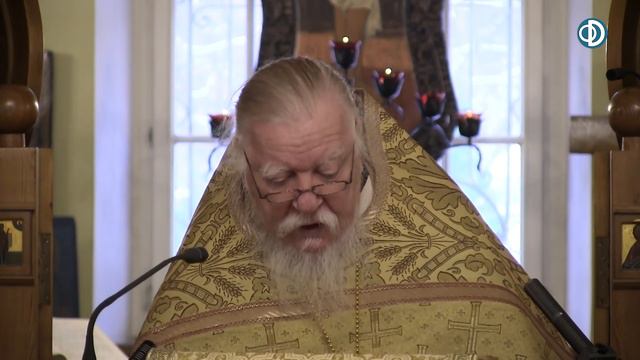 Протоиерей Димитрий Смирнов. Проповедь об исцелении и благодарности смотреть онлайн
