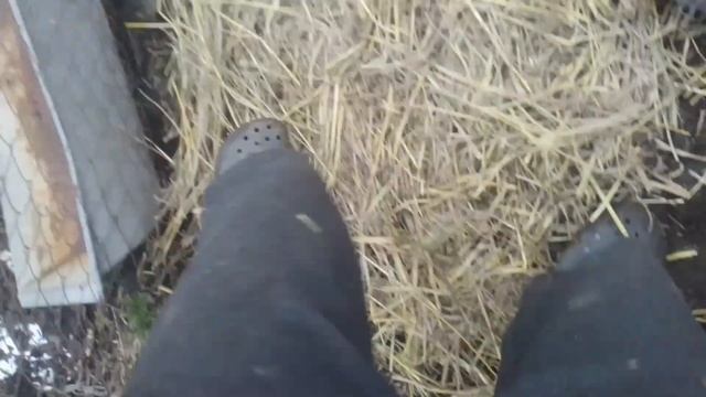 ловушка для красных червей как их привлеч смотреть онлайн