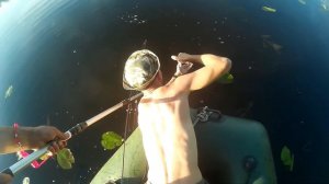 Летняя рыбалка на реке Молога. Фидеры, спиннинги, жерлицы, удочка.