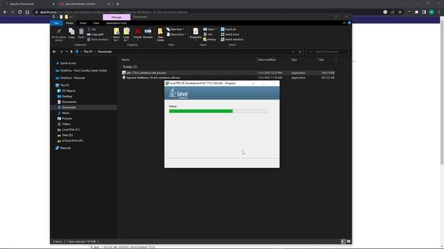 Installing Netbeans and the JDK смотреть онлайн