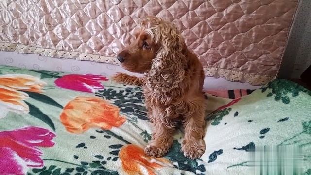 Деменция. Улучшение состояния здоровья. Рисуем. Отличное настроение. смотреть онлайн