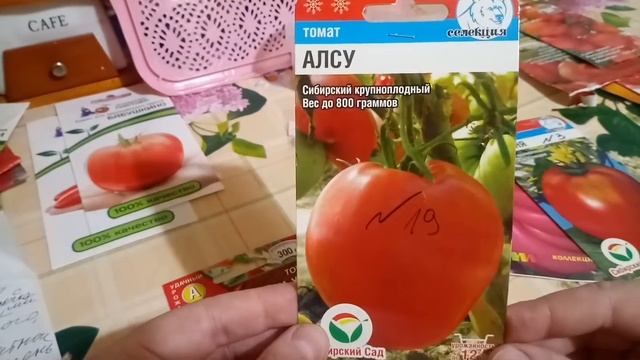 ОБЗОР СЕМЯН ТОМАТОВ НА 2021год! смотреть онлайн