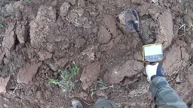 Garrett ACE Apex - первое впечатление от новинки!