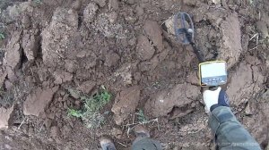 Garrett ACE Apex - первое впечатление от новинки!