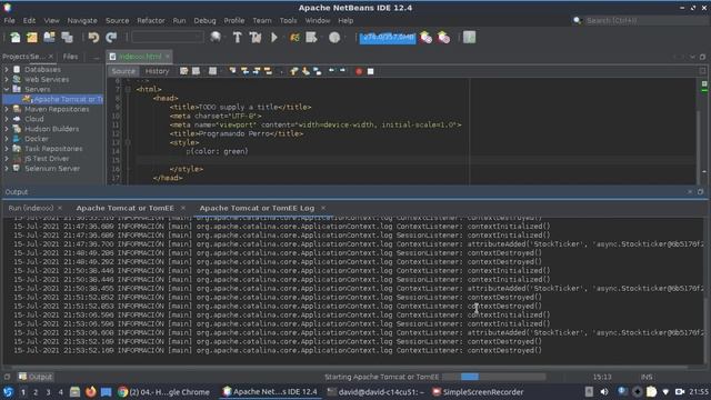 Error Tomcat- Apache Netbeans.. FAILED, THE SHUTDOWN PORT 8005 IS ALREADY IN USE. LINUX смотреть онлайн