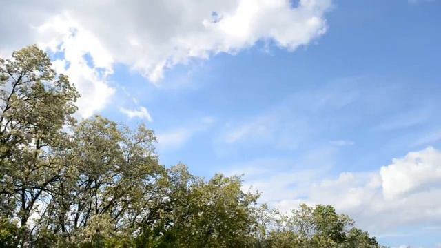 Вело прогулка ! Полтава _ р. Орель, велотуризм, CYCLING, велопоход, cycling trip смотреть онлайн