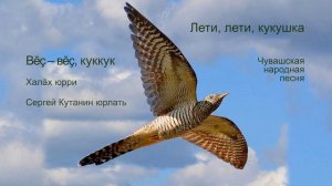 Вĕç–вĕç, куккук – Лети, лети, кукушка