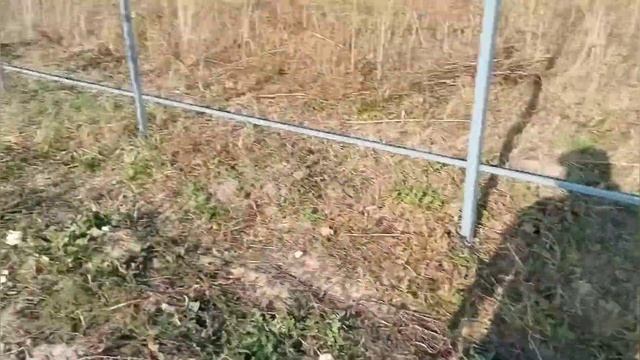 Дачная бытовка?. Садовые деревья?? смотреть онлайн