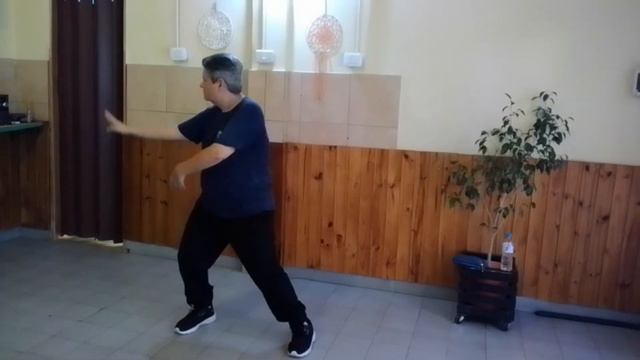 Tai Chi Chuan - Forma 10 смотреть онлайн