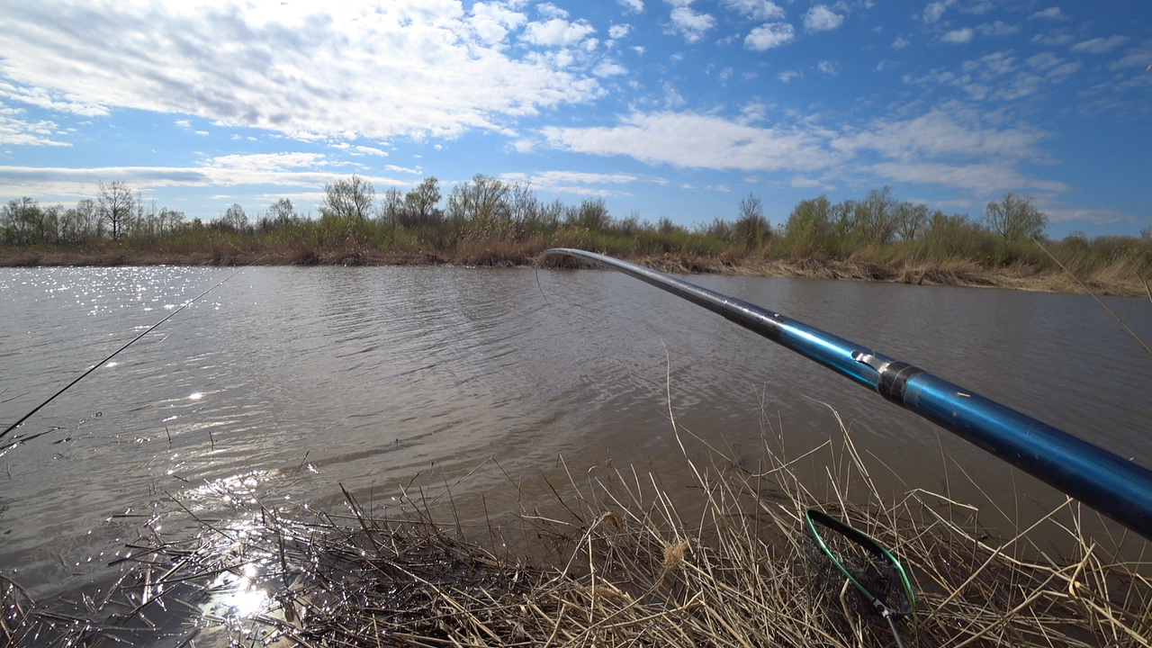 Только закинул и сразу потащило. Рыбалка на поплавочную удочку смотреть онлайн