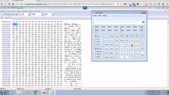 Using a Hex Editor смотреть онлайн