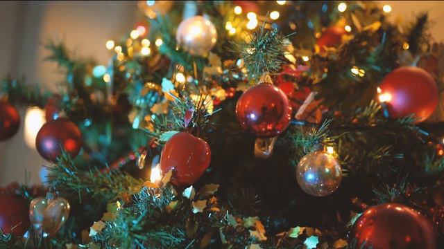 Zamba de la Navidad смотреть онлайн