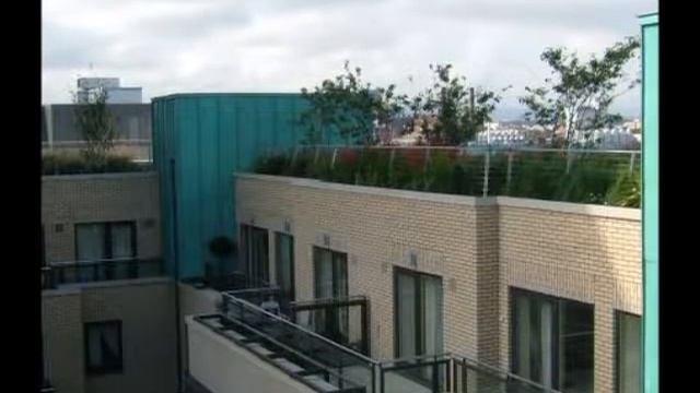 Озеленение кровель. Сады на крышах. Ирландия смотреть онлайн