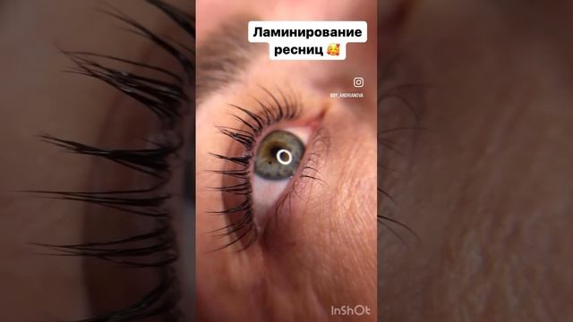 Ламинирование и окрашивание ресниц ? #eye #eyebrow #lash #makeup #брови #beauty #eyelash смотреть онлайн
