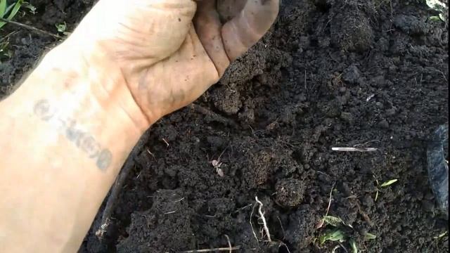 ПОИСК МОНЕТ ВОЗЛЕ СВОЕЙ ДЕРЕВНИ смотреть онлайн