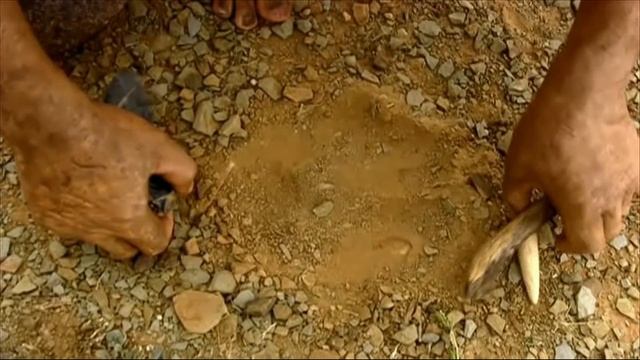 Walking with Cavemen mini-series review смотреть онлайн