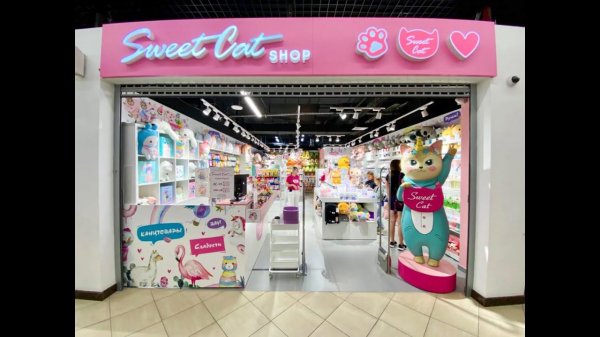 Art Manij ОБЗОР Магазин Sweet Cat Shop