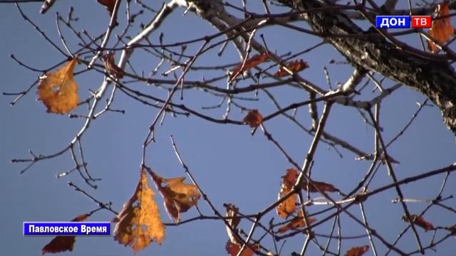 Погода 1-2.10.2016. г. Павловск Воронежской обл. смотреть онлайн