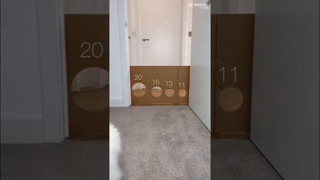 Кот Выживает в Семье QA Тестировщиков смотреть онлайн