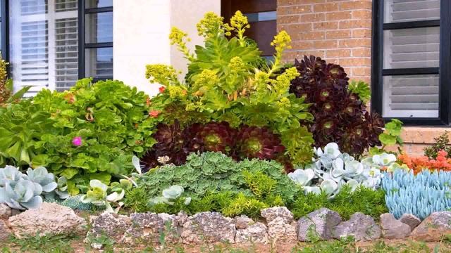 Front Yard Ideas Raised Beds