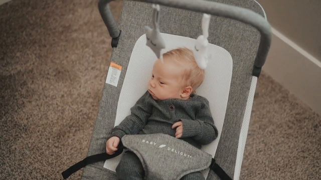 Amazon com Baby Delight Alpine Deluxe Portable Infant Bouncer Peony Pink смотреть онлайн