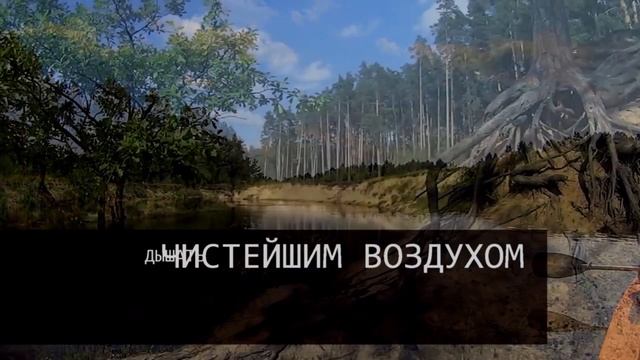 Купить дом в Подмосковье. Мещера. Усадьба Филисово. 2 дома, 90 соток, от 5 400 000 р. смотреть онлайн