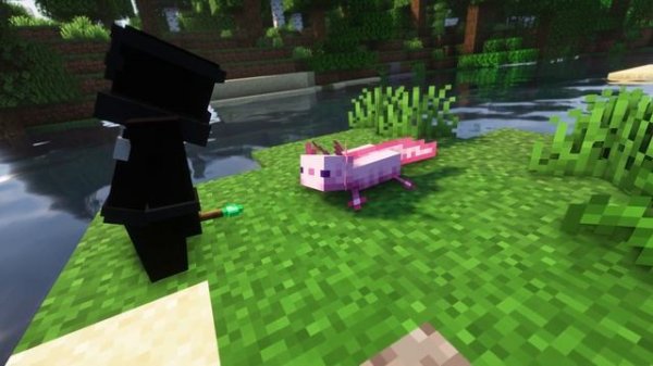 10 NEW & AMAZING 1.19.2 FORGE MODS