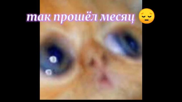 meme ~ты же сама хотела чтоб я здохла~😒(оригинал) смотреть онлайн