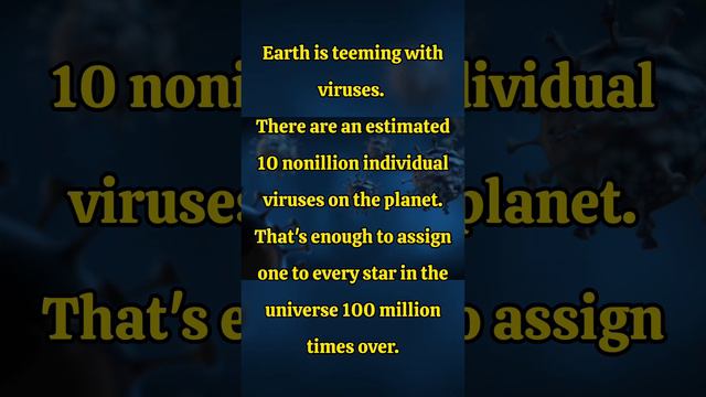 Earth's Vast Viral Diversity Revealed #facts funfact #didyouknow #unknownfacts #interestingfacts смотреть онлайн