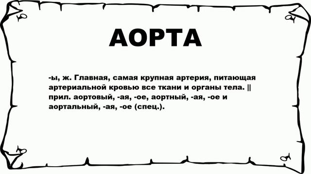 АОРТА - что это такое? значение и описание смотреть онлайн