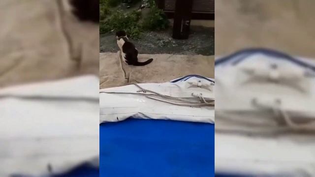 Кальмар стоял в очередь на этот воблер смотреть онлайн
