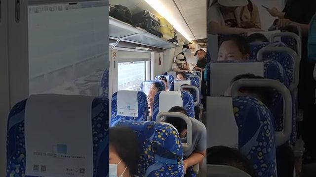 Вечная война у окна смотреть онлайн