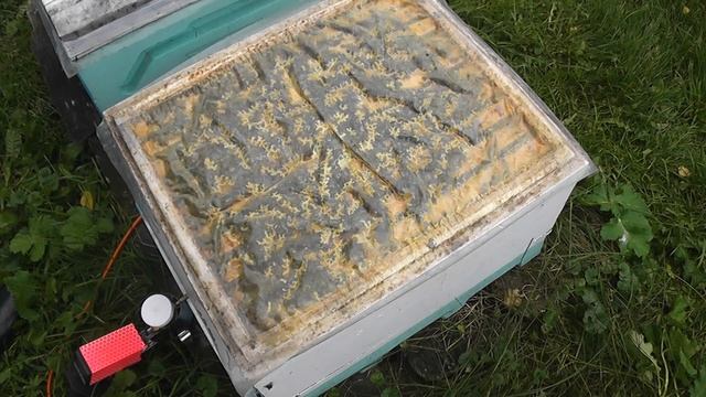 схемы обработок от клеща в 2021 г смотреть онлайн