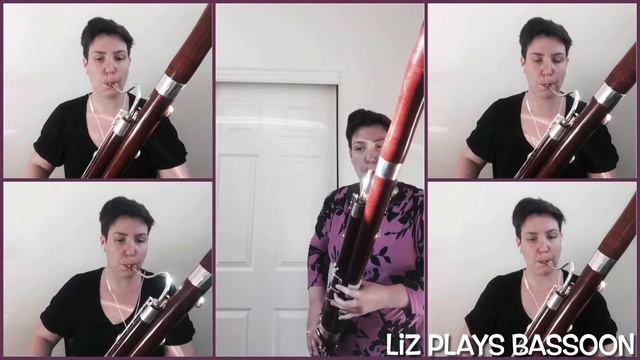 Vivaldi Bassoon Concerto in C Major RV 473, second movement, with bassoon quartet accompaniment смотреть онлайн