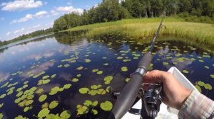 Щуки на 4.5 и 3.5 кг едят утёнка. Бешеный клёв щуки на утёнка. Ловля щуки на незацепляйки.