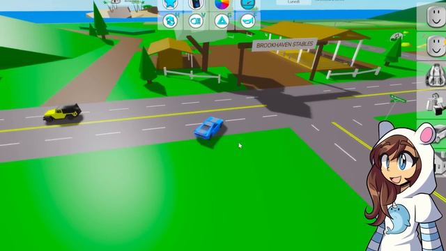 SPIO MIA SORELLA DI NASCOSTO E SCOPRO COSE ASSURDE SU BROOKHAVEN ROBLOX! смотреть онлайн