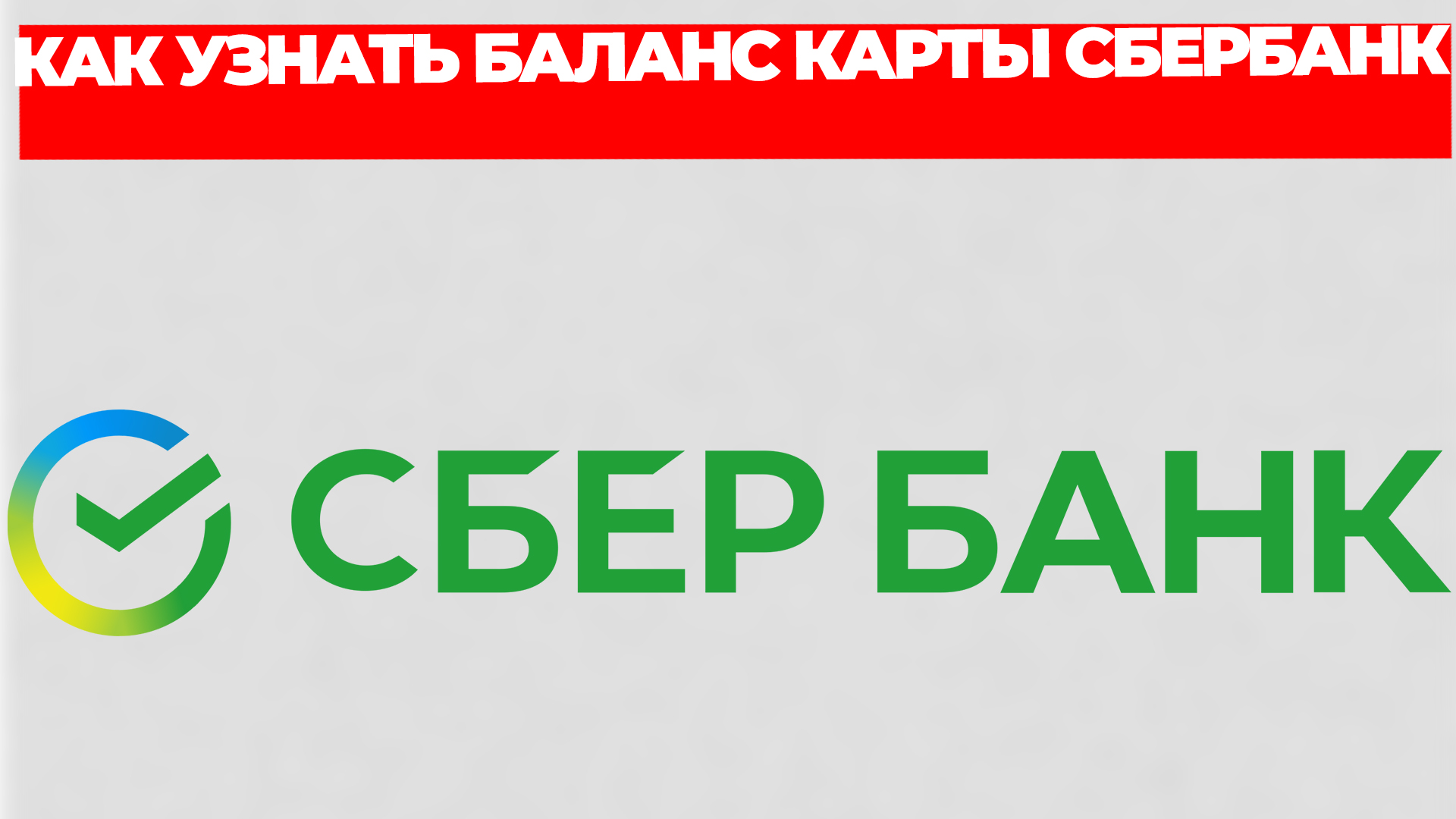 Всезнающий Енот