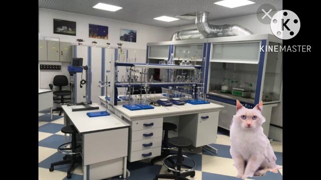 Коты в городе 5 серия 2 сезон (секрет Майкла)