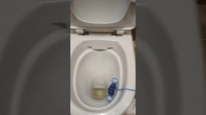 Обзор унитаза Керамин Санти R