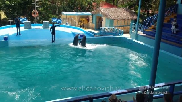 Доминикана Manati Park Punta Cana, часть-1 смотреть онлайн