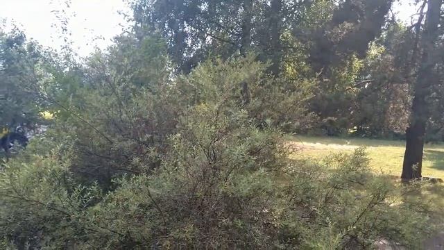 Латвия. Отдохнули в Дарзини