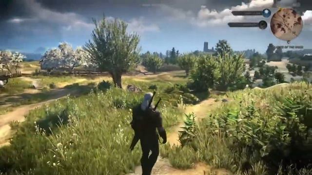The Witcher 3 Ps4 Gameplay