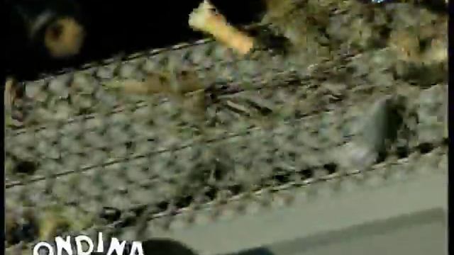 SCAM ONDINA самоходная пляжеуборочная машина смотреть онлайн