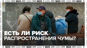 Эксперты рассказали, есть ли риск распространения чумы в России - Москва 24