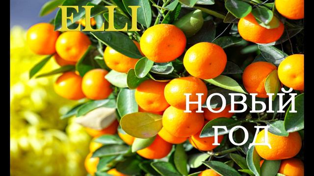 НОВЫЙ ГОД. Авторская. ELLI автор-исполнитель. Аранжировка - брат Борис Михайлов. смотреть онлайн