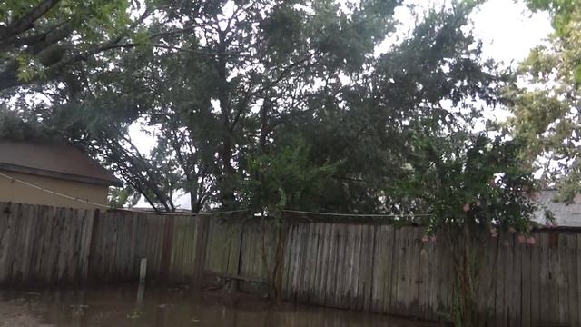 Sony DSC-HX100V Rain Test смотреть онлайн